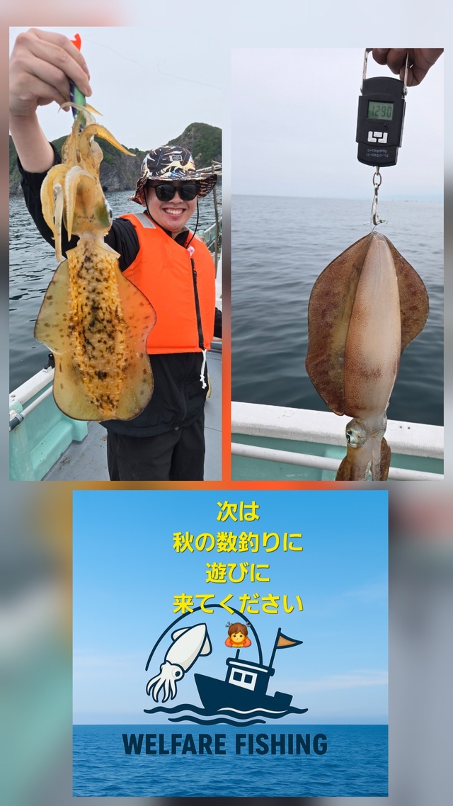 アオリイカ