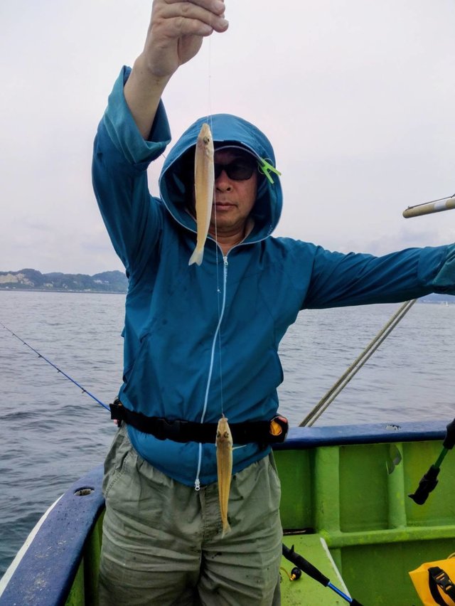 シロギス