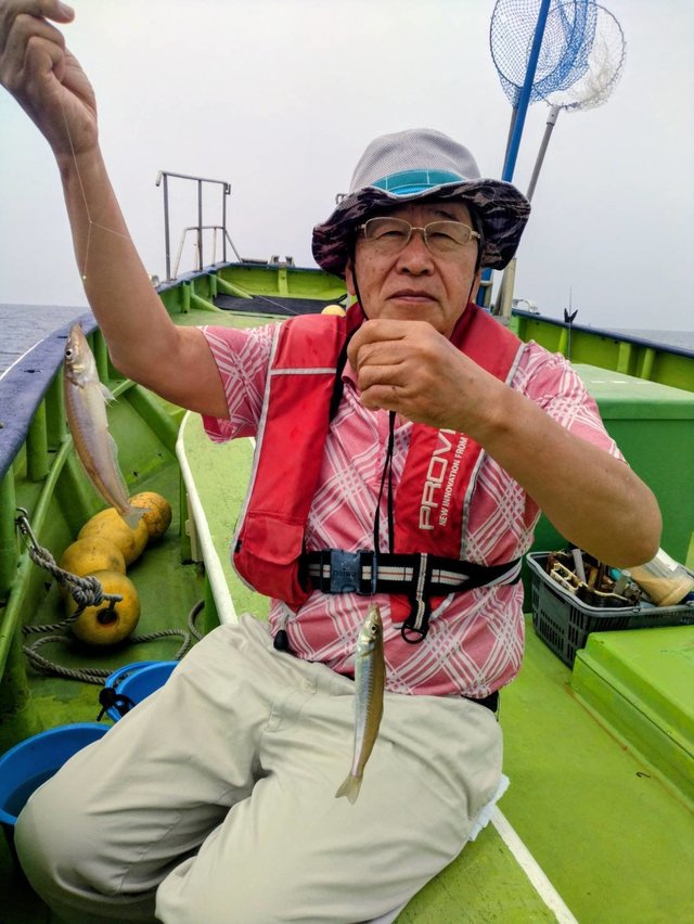シロギス