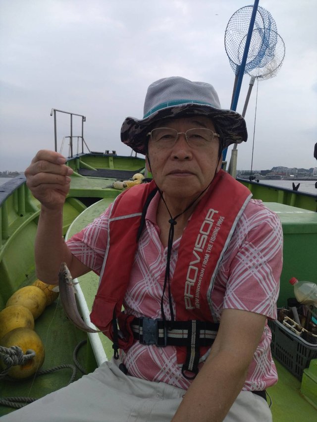 シロギス