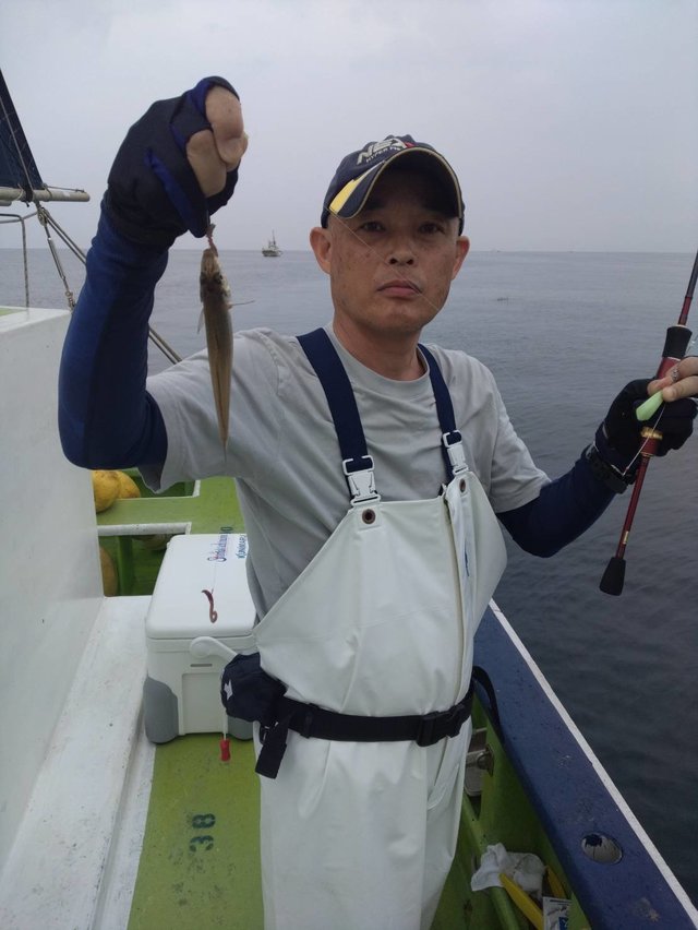 シロギス