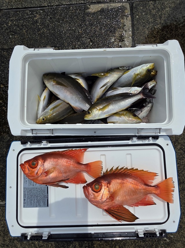 イサキ