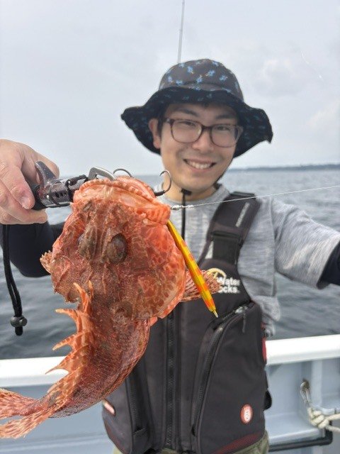 オニカサゴ