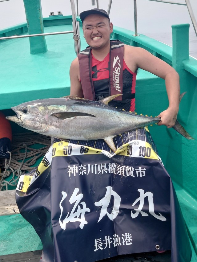 キハダ