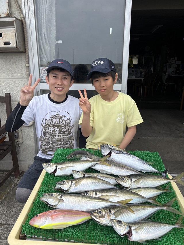 アジ(マアジ)