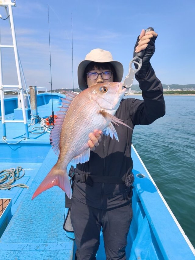 マダイ
