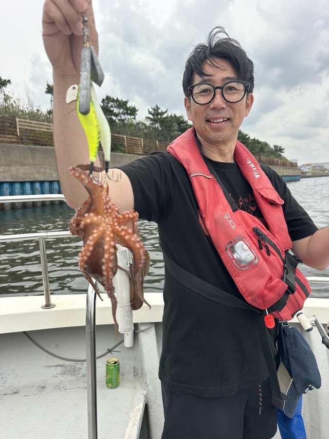マダコ