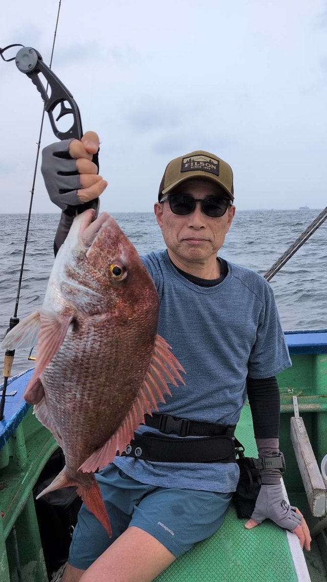 マダイ