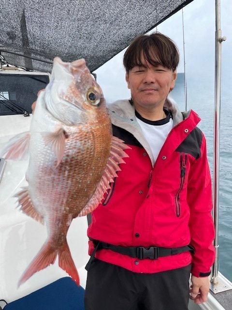 マダイ