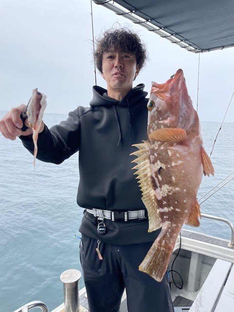 アコウ(キジハタ)