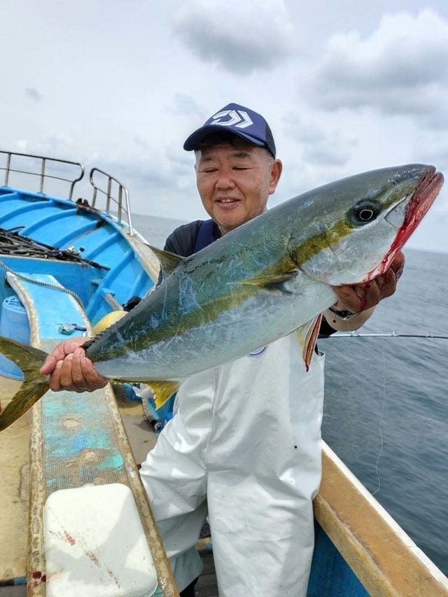 ヒラマサ
