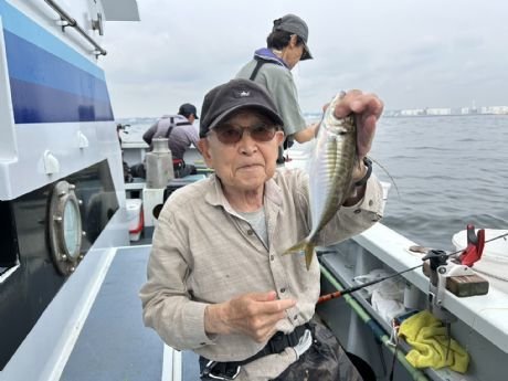 アジ(マアジ)