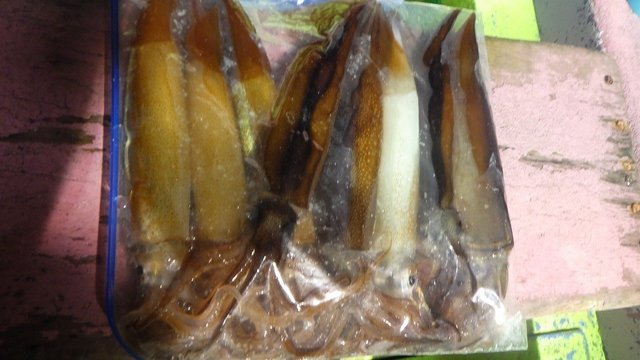 スルメイカ
