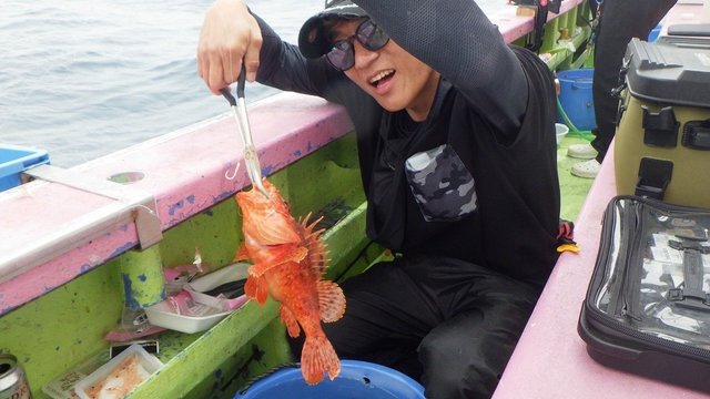 オニカサゴ