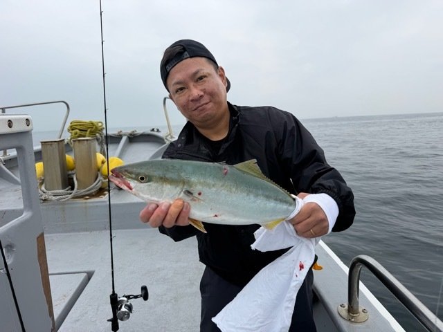 ハマチ(ブリ)