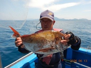 マダイ
