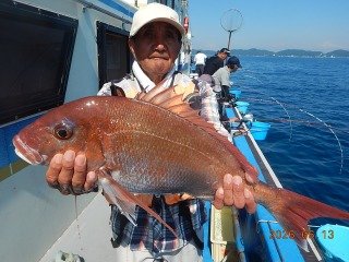マダイ