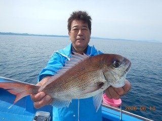 マダイ