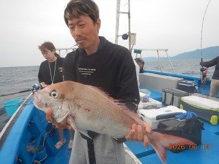 マダイ