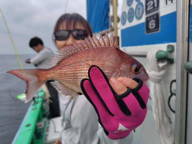 マダイ