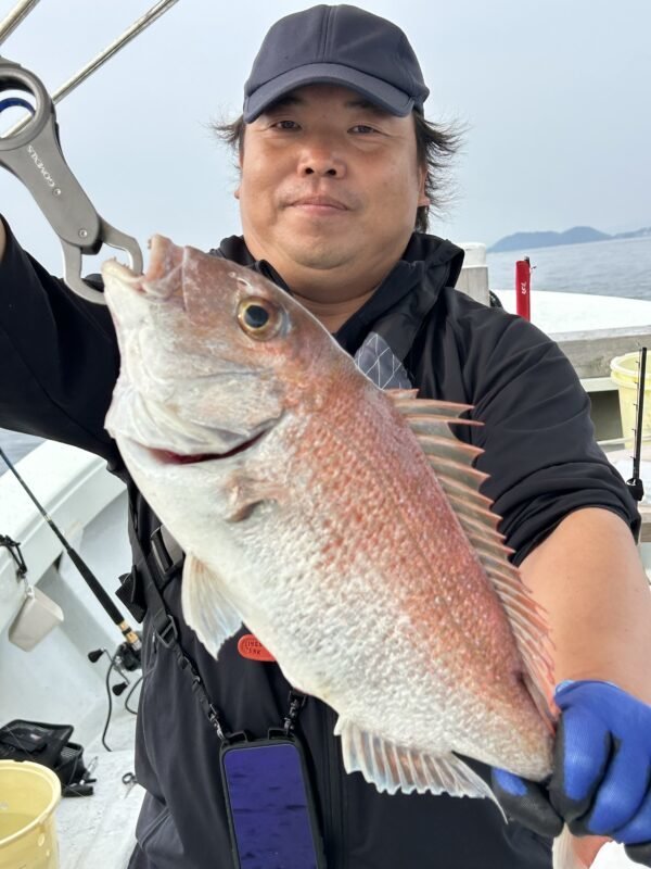 タイ(マダイ)