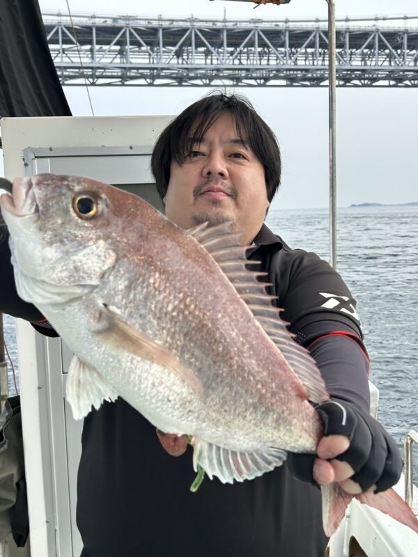 タイ(マダイ)
