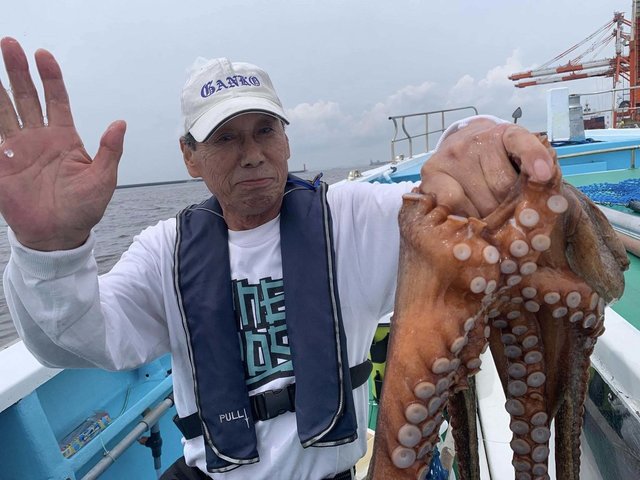 タコ(マダコ)