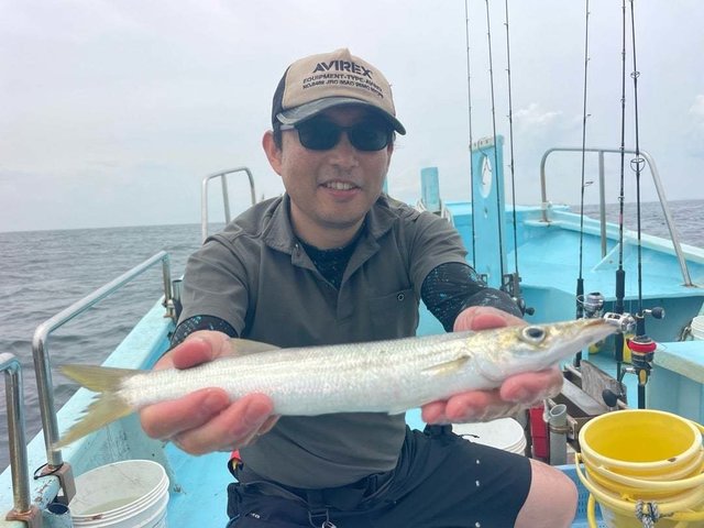 カマス(アカカマス)