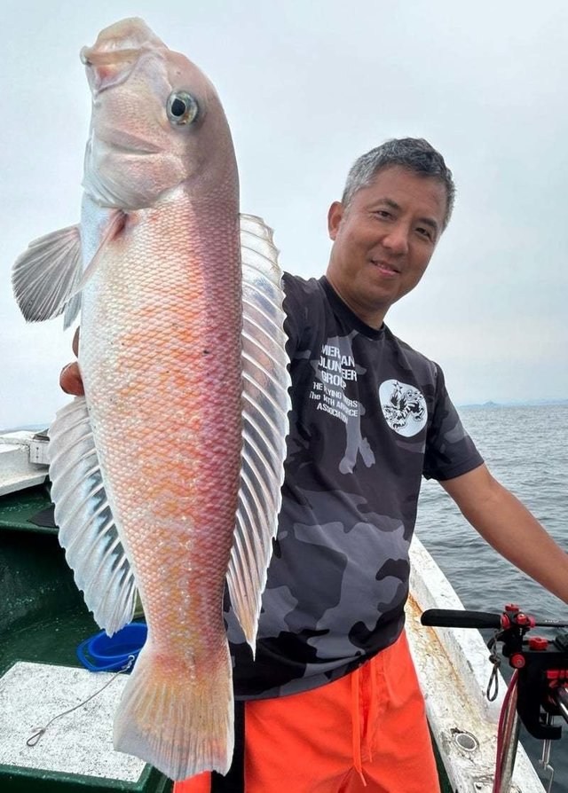 シロアマダイ
