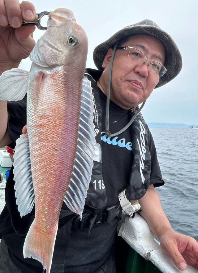 シロアマダイ