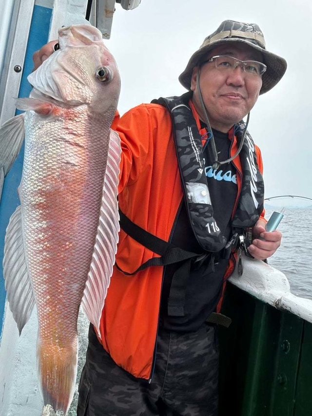 シロアマダイ