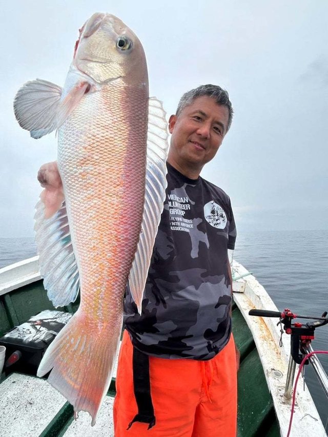 シロアマダイ