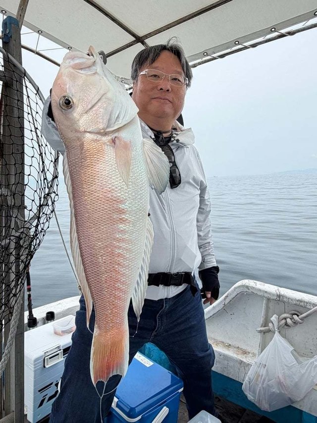 シロアマダイ