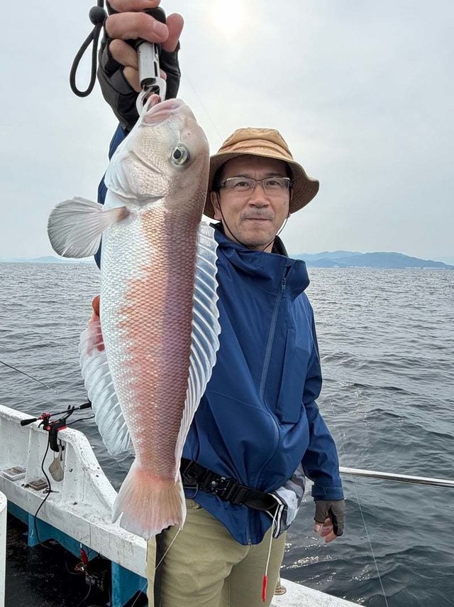 シロアマダイ