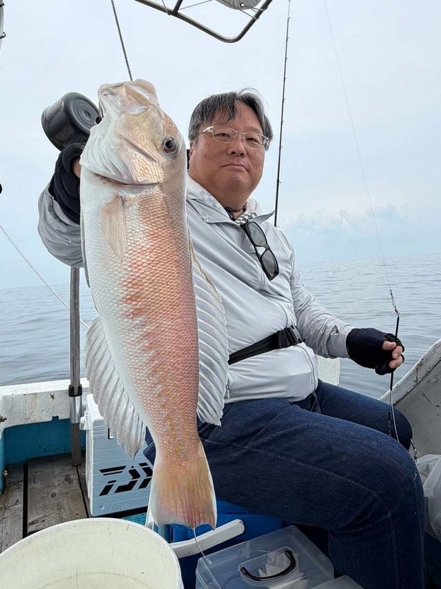 シロアマダイ