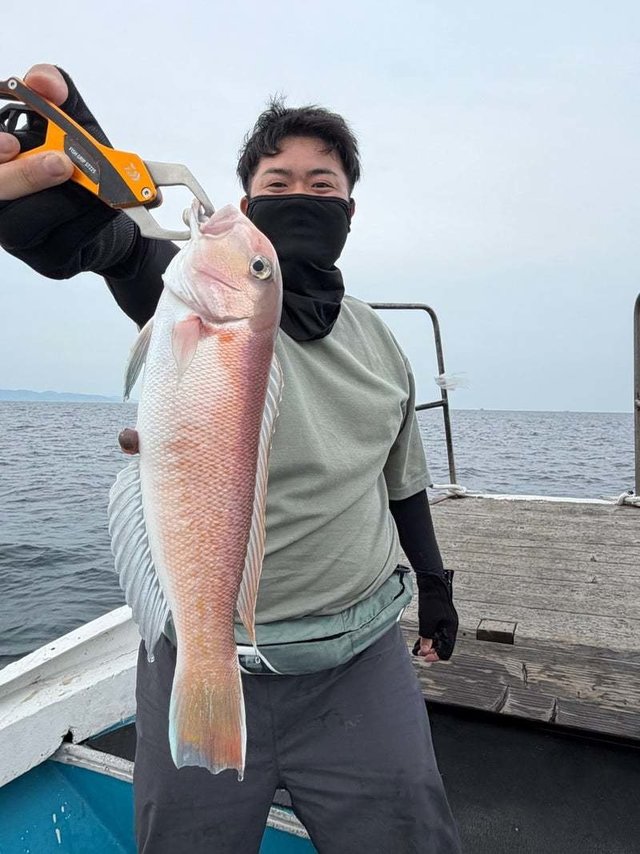 シロアマダイ