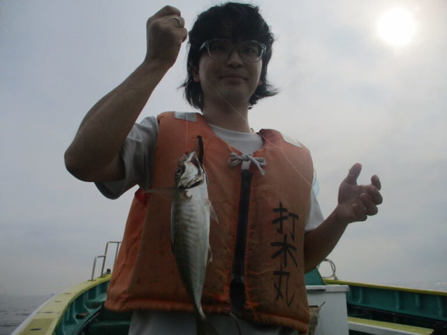 アジ(マアジ)