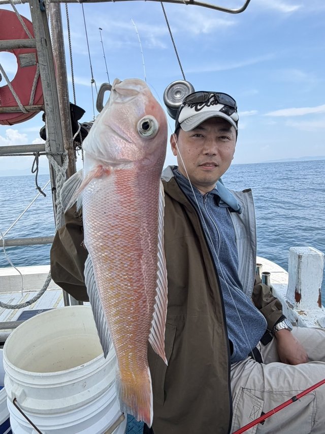シロアマダイ
