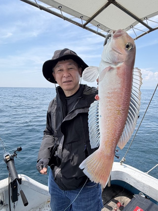 シロアマダイ