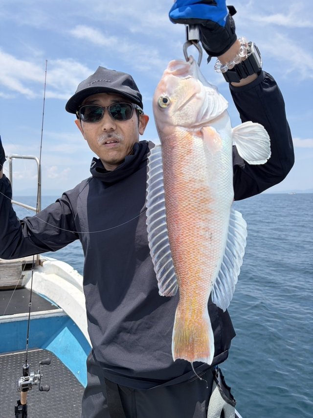 シロアマダイ