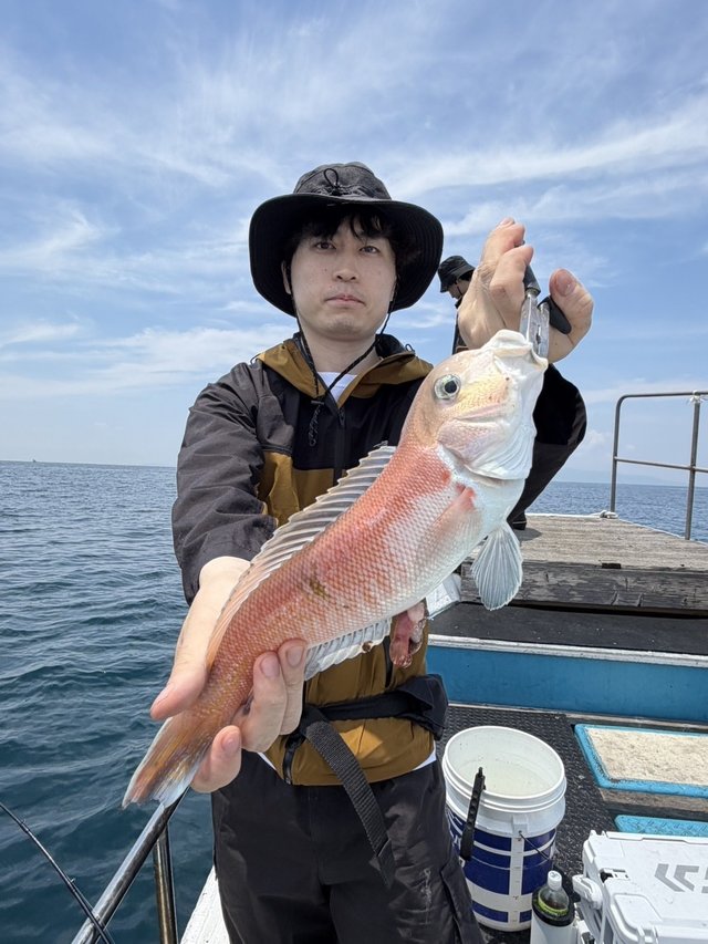 シロアマダイ