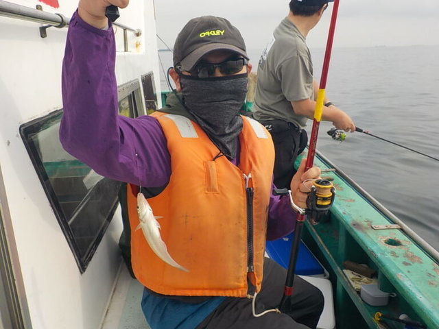 シロギス