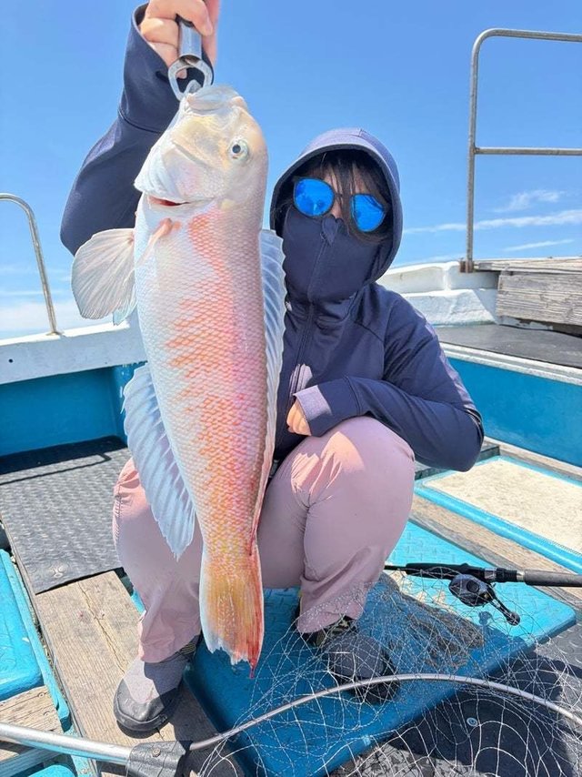 シロアマダイ