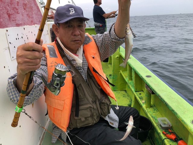 シロギス