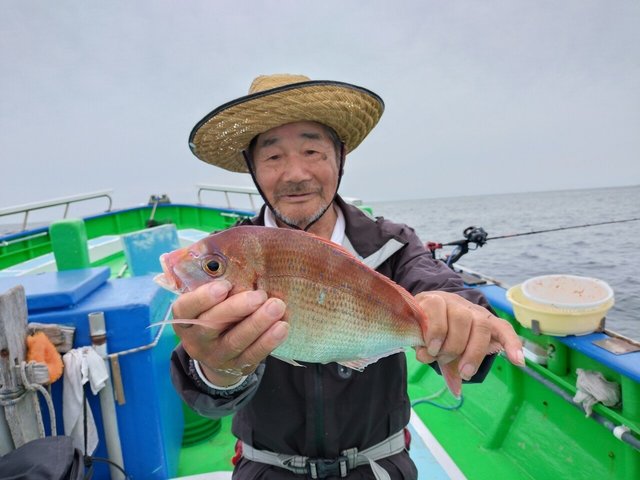 マダイ