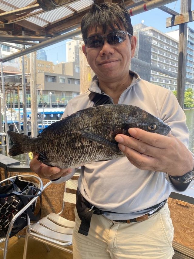 クロダイ