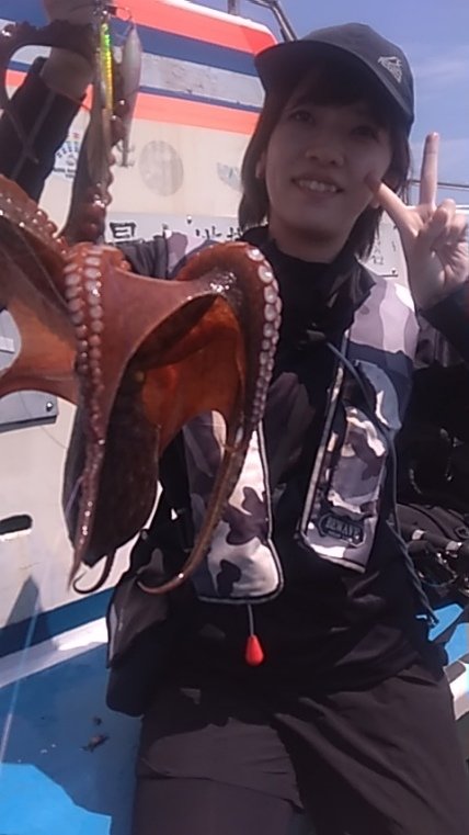 マダコ