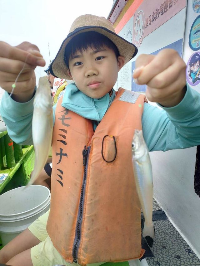 シロギス