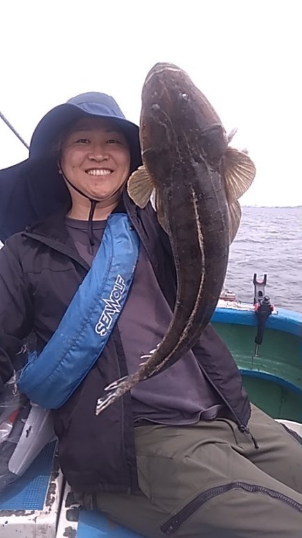 マゴチ