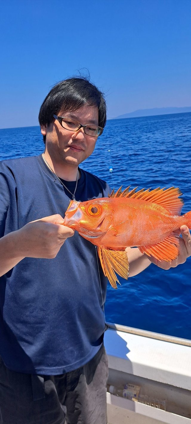 チカメキントキ